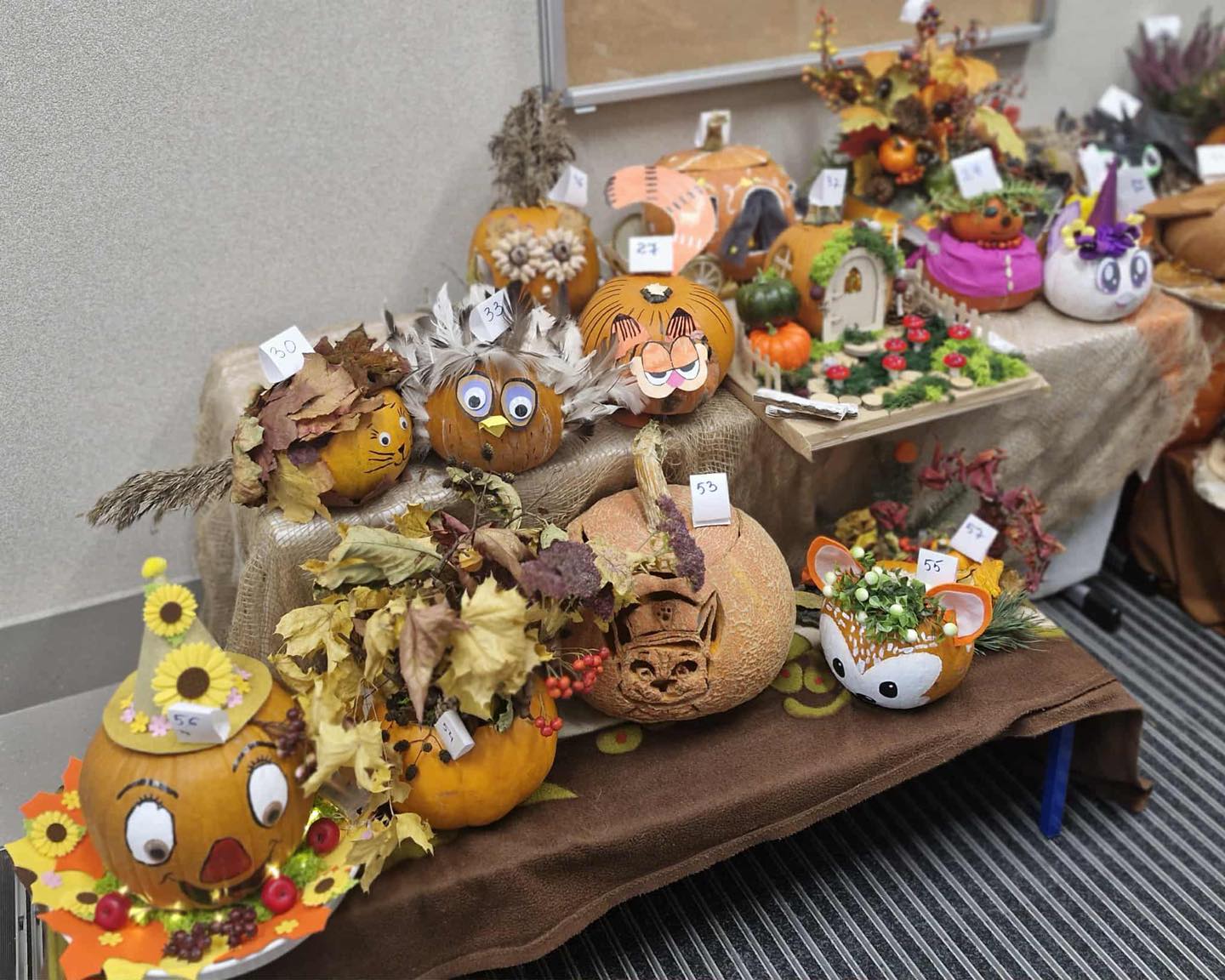 574280265_1716333946213965_2572082869291117313_n